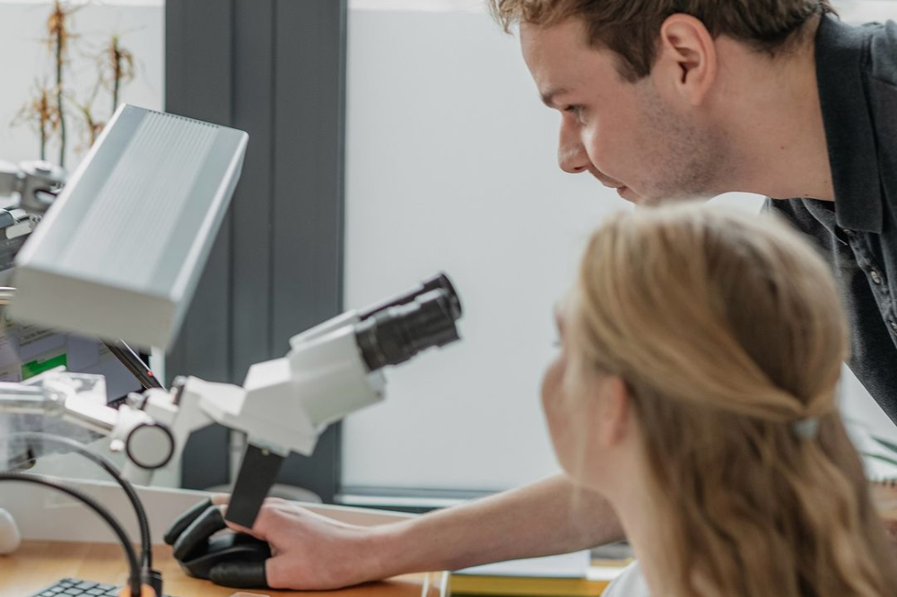 Zeitauktion Uhrmachermeister