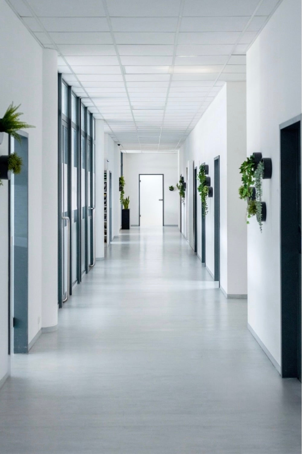 Hinter den Kulissen von Zeitauktion