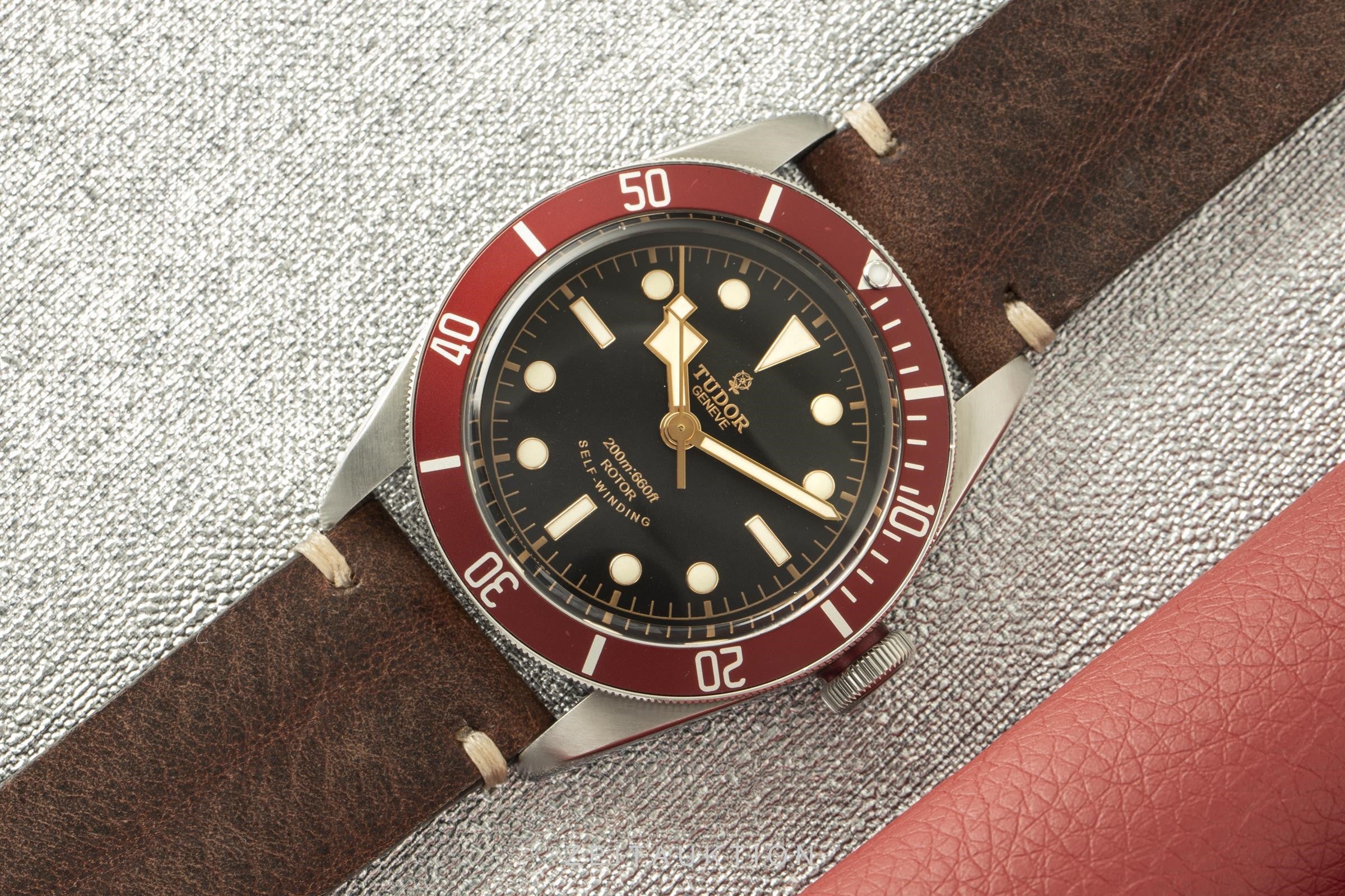 Tudor Heritage Black Bay steel automatic 79220R 2100101