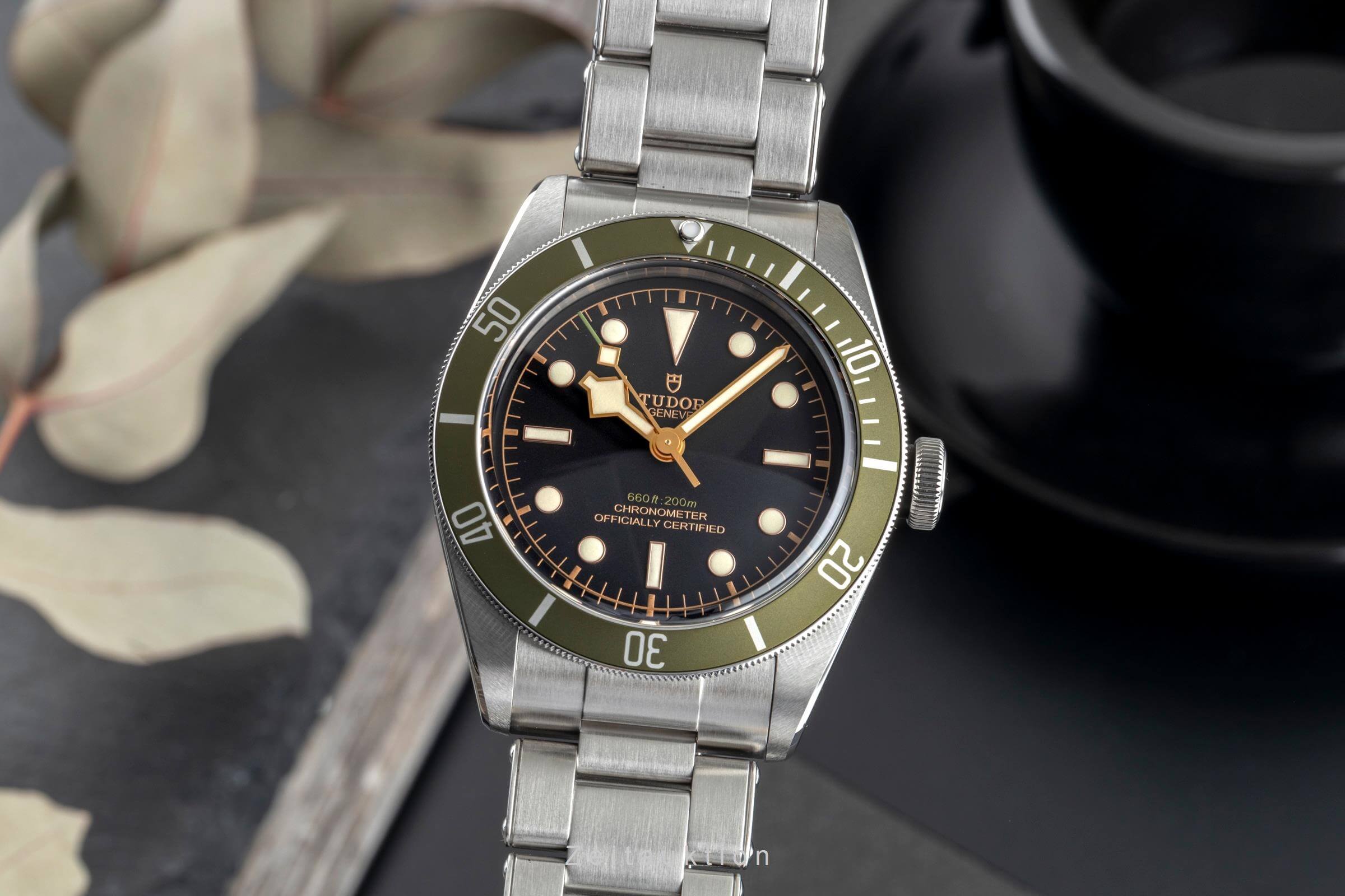 Tudor Black Bay steel automatic men's watch 79230G Limited  [2502381]