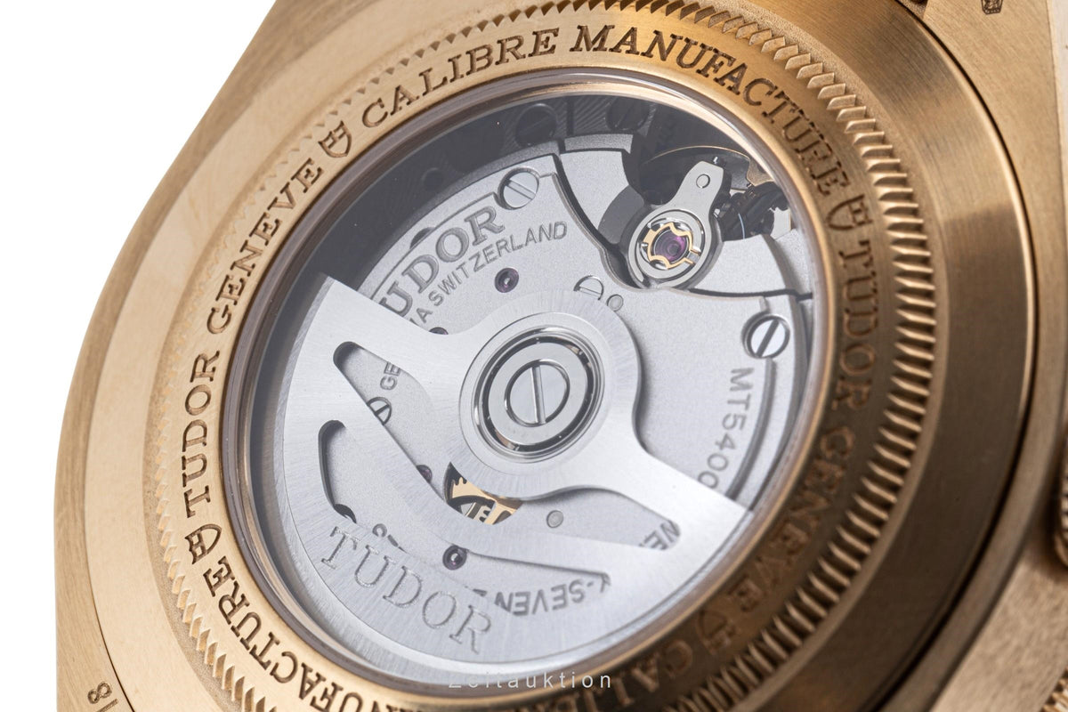 Tudor Black Bay oro de 18 quilates automático reloj para caballeros 79018V-0006 LP: 36700EUR  [2606464]