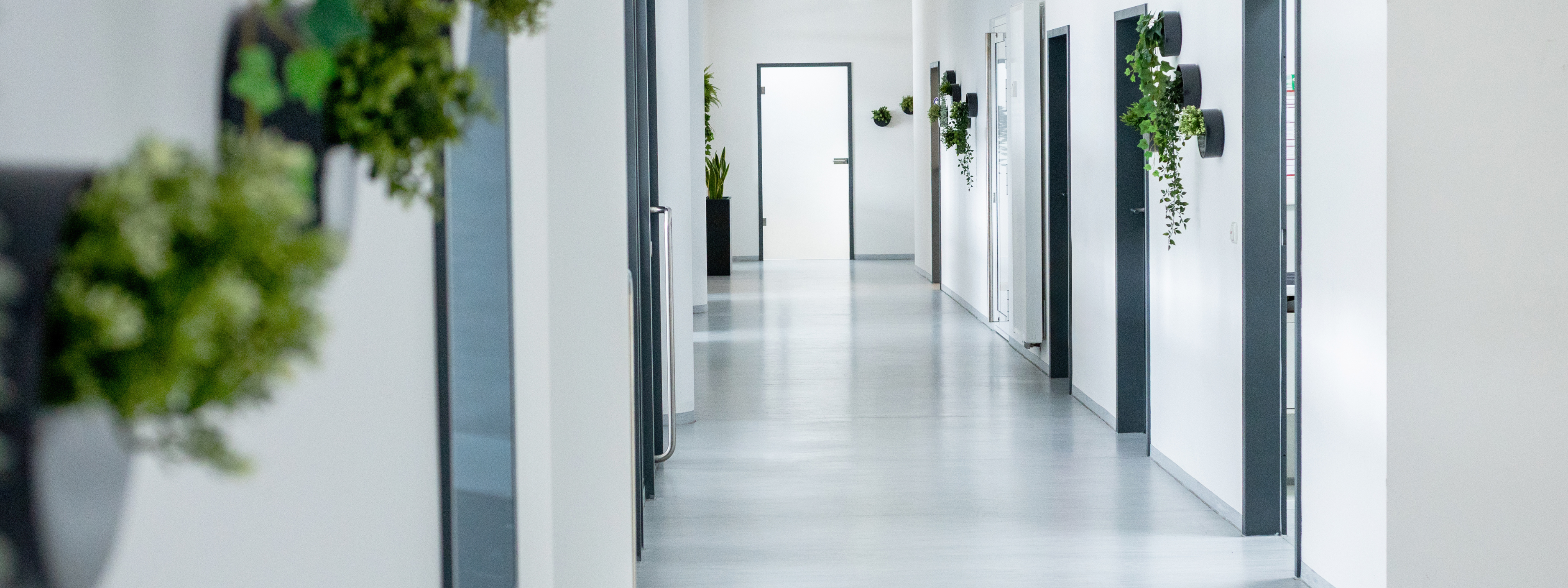 Zeitauktion Räumlichkeiten