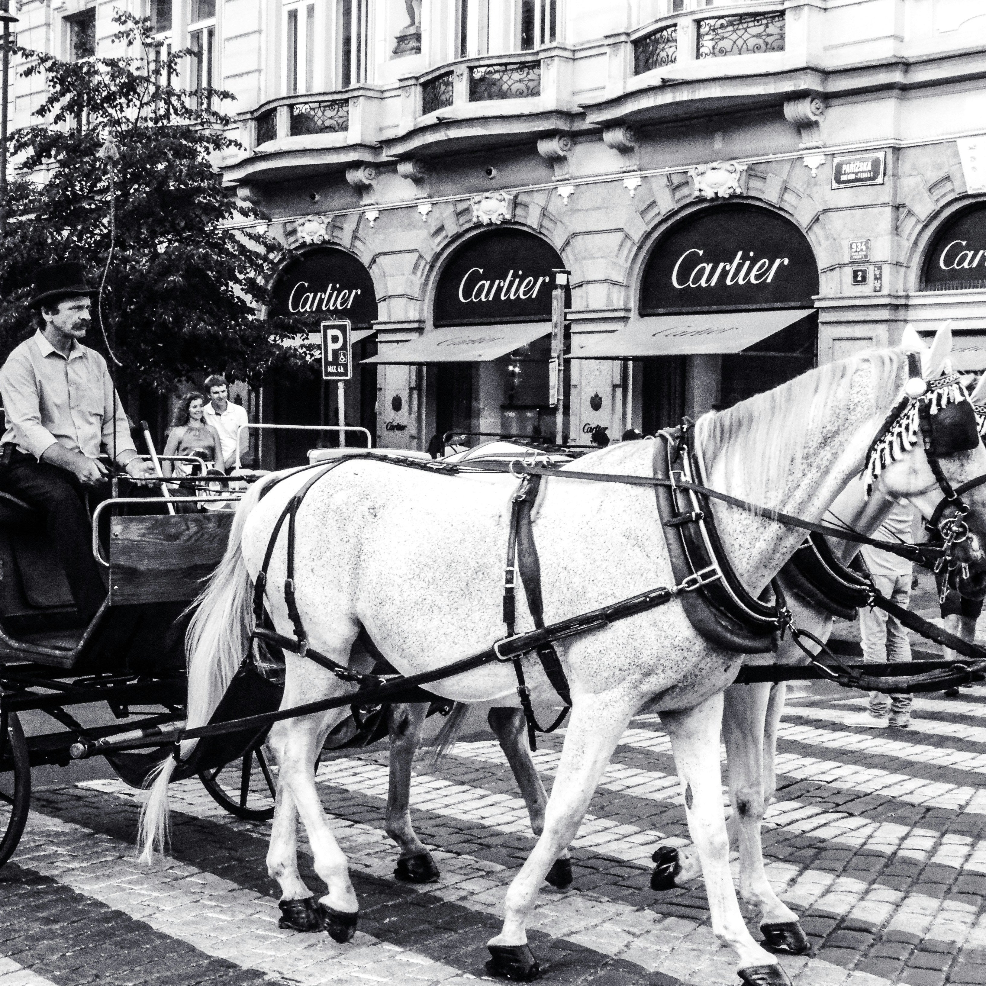 Historisches Bild von Cartier